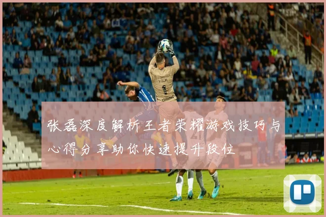 张磊深度解析王者荣耀游戏技巧与心得分享助你快速提升段位