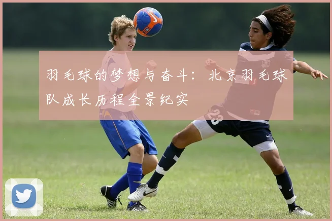 羽毛球的梦想与奋斗：北京羽毛球队成长历程全景纪实