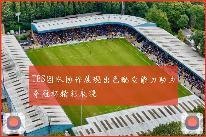 TES团队协作展现出色配合能力助力夺冠杯精彩表现